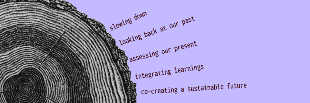 Text mapped to an illustration of tree rings: slowing down, looking back at our past, assessing our present, integrating learnings, co-creating a sustainable future